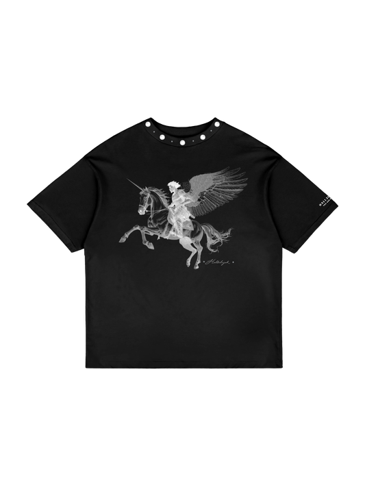 MIDNIGHT PEGASUS HCP097
