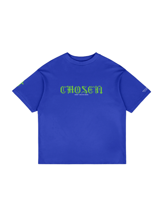 CHOSEN НСР060